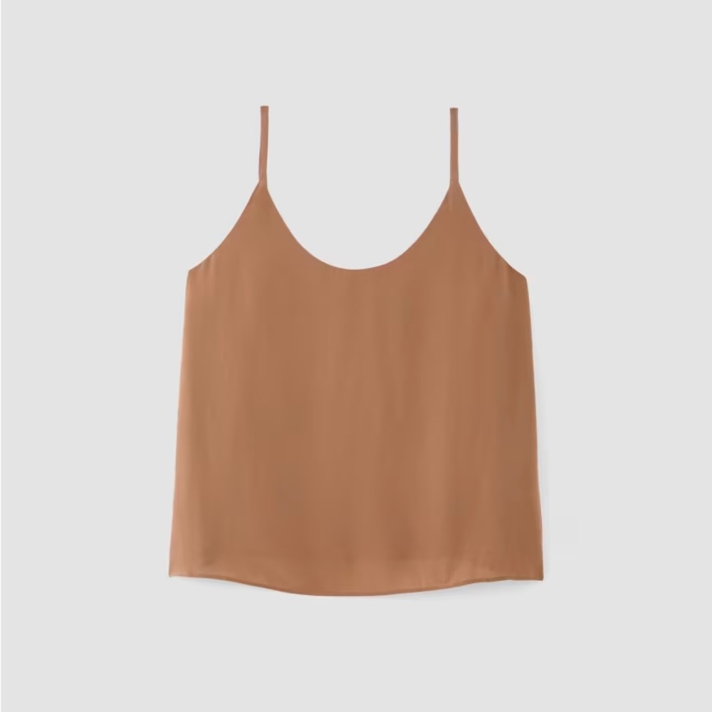 NWT Everlane Slip Cami Carob Brown Size 8